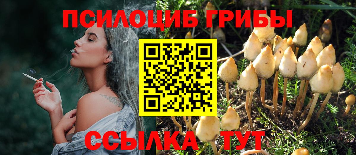 Псилоцибиновые грибы MAGIC MUSHROOMS  Псилоцибиновые грибы GOLDEN TEACHER  Медногорск  Вход с VPN 