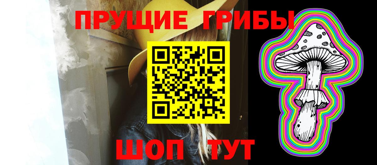 Псилоцибиновые грибы Cubensis Медногорск